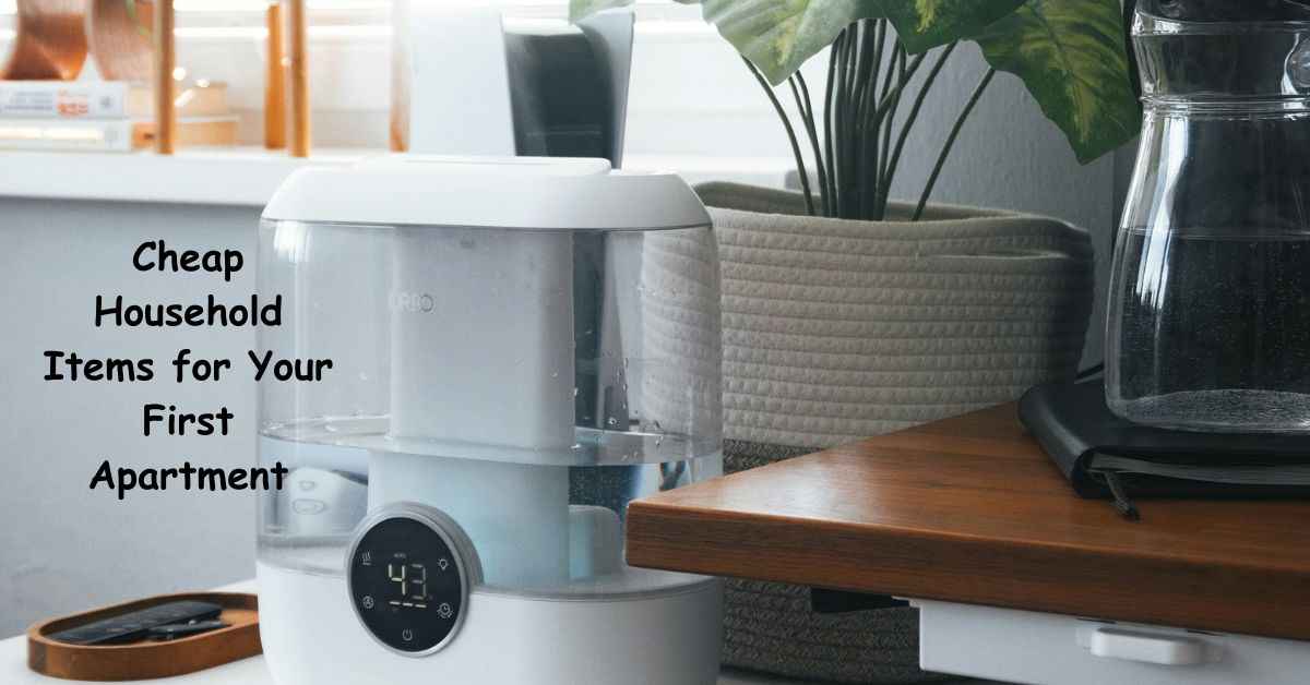 Cheap Household Items for Your First Apartment